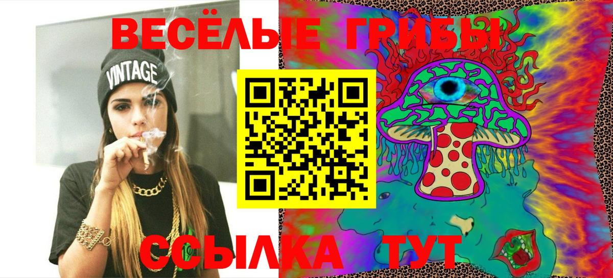 Сальск  Псилоцибиновые грибы GOLDEN TEACHER  Псилоцибиновые грибы Cubensis  наркошоп  Вход с VPN 